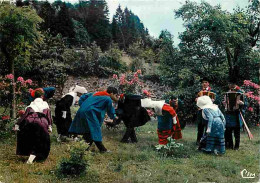 87 - Ambazac - Lou Gerbassou - Danse La Maniguet - Folklore - CPM - Voir Scans Recto-Verso - Ambazac