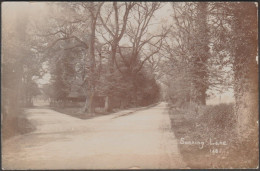 Sonning Lane, Berkshire, 1909 - RP Postcard - Sonstige & Ohne Zuordnung