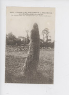 Menhir De Saint Samson En Pleumeur Près Trégastel : Objet De Culte Secret Des Femmes Du Pays (cp Vierge N°3912) - Dolmen & Menhirs