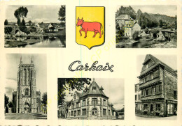 29.  CARHAIX .  CP Multivues . - Carhaix-Plouguer