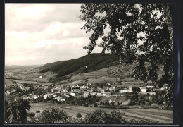 AK Holsthum /Bitburg, Gesamtansicht Aus Der Ferne  - Bitburg