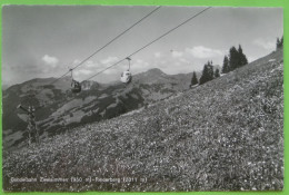 Zweisimmen (BE)  - Gondelbahn Zweisimmen - Rinderberg - Zweisimmen