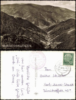 Furtwangen Schwarzwald Blick Vom Brend Ins Simonswäldertal Und Auf Kandel 1956 - Furtwangen