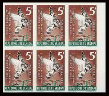 91812c Sénégal N° 309 Martin-pêcheur (kingfisher) Oiseaux Bird Oiseau Non Dentelé Imperf ** MNH Bloc 6 - Piciformes (pájaros Carpinteros)