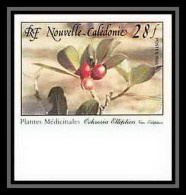 91765c Nouvelle-Calédonie N° 556 Plante Médicinale Medicinal Plant Ochrosia Non Dentelé Imperf ** MNH - Piante Medicinali