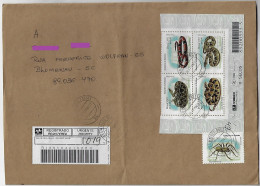 Brazil 2001 Registered Cover From São Miguel Do Oeste To Blumenau 5 Stamp Spider Snake Fauna Animal Reptile - Briefe U. Dokumente