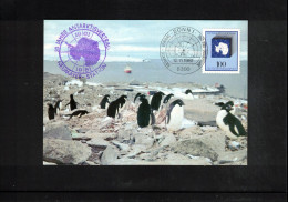 Germany 1981 Antarctica - 20th Anniversary Of The Antarctivc Treaty Interesting Postcard - Traité Sur L'Antarctique