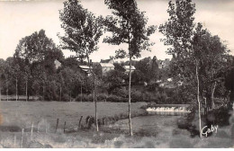 53 - Ernée - SAN22836 - Le Barrage Du Moulin à Tan - CPSM 14X9 Cm - Ernee