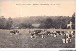 CAR-AAWP6-52-0451 - Environs De DOULEVANT - écurie A Midrouet Au Parc Du Château - Doulevant-le-Château