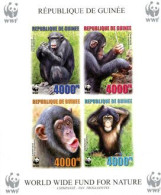GUINEE 2006 - W.W.F. - Chimpanzee - Bloc Collectif Non Dentelé - Ungebraucht