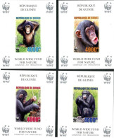 GUINEE 2006 - W.W.F. - Chimpanzee - 4 BF Luxe Non Dentelés - Ungebraucht