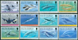 FALKLAND DEPENDANCES 1993 - Série Courante - Baleines Et Dauphins - 12 V. - Ballenas