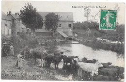 72 - LOUE - Moulin De Barigné - Troupeau De Vaches - Loue