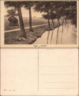 Ansichtskarte Burg (Spreewald) Borkowy (Błota) Spreewald - Kaupen 1915  - Burg (Spreewald)