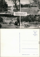 Seifhennersdorf Waldbad Silberteich - Schwimmer Und Kleinbecken Besuchern 1961 - Seifhennersdorf