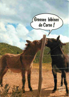 Animaux - Anes - Carte à Message - CPM - Voir Scans Recto-Verso - Donkeys