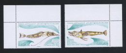 TAAF 2024 N° 1075/1076 ** Neuf MNH Superbe Faune Marine Poisson Des Glaces Fishes Juvénile Adulte - Neufs