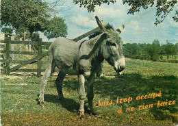 Animaux - Anes - CPM - Voir Scans Recto-Verso - Donkeys