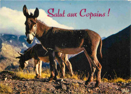 Animaux - Anes - Carte à Message - CPM - Voir Scans Recto-Verso - Donkeys