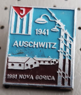 Auswitch Oswiecim Concentration Camp Holocaust Monument World War II. Pin - Militaria