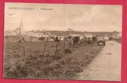 C.P.  Froidchapelle  = Panorama - Froidchapelle