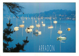 56 - ARRADON - Arradon