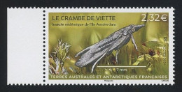 TAAF 2024 N° 1080 ** Neuf MNH Superbe Faune Insectes Crambe De Viette - Neufs