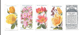 CJ53 - SERIE COMPLETE 50 CARTES CIGARETTES WILLS - ROSES 2nd SERIES - Wills