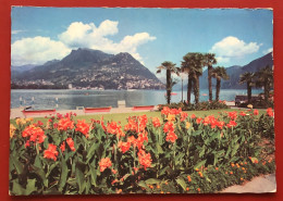 Lugano - Paradiso - Monte Brè - 1959 (c1218) - Paradiso