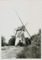 Mol Ezaart Molen Foto A. Carre 1978 - Mol