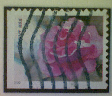United States, Scott #5727, Used(o), 2022, Camelia, (60¢), Multicolored - Oblitérés