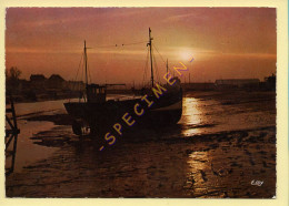 Pêche : Chalutier Sur La Cote Normande (voir Scan Recto/verso) - Pêche