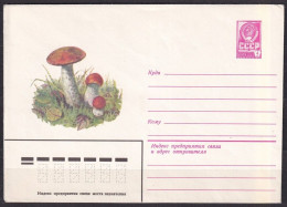 SOVIET UNION. 1979/four-kpieyek Illustrated, PS Envelop/unused. - Covers & Documents