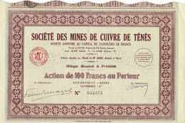 Titre De 1930 - Société Des Mines De Cuivre De Tenes - - Mines