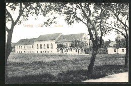 AK Coswig I. Sa., Gasthof Und Konzert-Etablissement  - Coswig