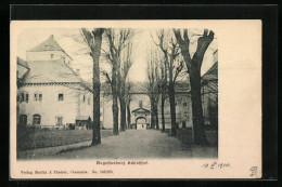 AK Augustusburg, Schlosshof  - Augustusburg