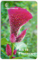 Antigua & Barbuda - Celosia (Cock's Comb) - With RED Chip - Antigua Et Barbuda