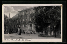 AK Eberswalde, Vor Der Forstlichen Hochschule  - Eberswalde
