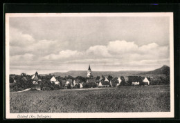 AK Ostdorf Bei Balingen, Ortspanorama Mit Blick Zur Kirche  - Balingen