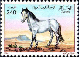 Algérie (Rep) Poste N** Yv: 814 Mi:855 Cheval Berbère (Thème) - Paarden
