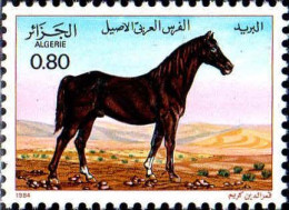 Algérie (Rep) Poste N** Yv: 813 Mi:854 Cheval Pure Sang Arabe (Thème) - Paarden