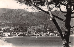 83-LE LAVANDOU-N°T2928-D/0203 - Le Lavandou