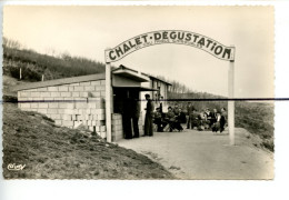 CPSM. PF. Rhône. D69. Chiroubles . Chalet De Dégustation Du Cru Noble Chiroubles . Terrasses - Chiroubles