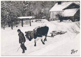 CPSM / CPM 10.5 X 15 Photographe JOËL COUCHOURON Les Vieux Métiers (Les Vosges) Le Chasse-neige En Bois Tiré Par 1 Boeuf - Altri & Non Classificati