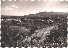 FR66 CERET - CPSM 10 * 15 - Vue Générale - Belle - Ceret