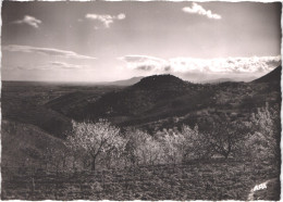 FR66 CERET - CPSM 10 * 15 - Vue Générale - Belle - Ceret