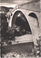 FR66 CERET - CPSM 10 * 15 - Vue Générale - Pont Du Diable Belle - Ceret