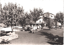 FR66 CERET - CPSM 10 * 15 - Auberge LA TERRASSE DU SOLEIL - Animée Belle - Ceret