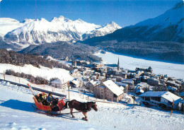 Switzerland Grisons St Moritz Oberengadin & Horse Drawn Sleigh - Sankt Moritz