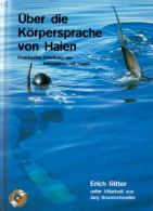 Über Die Körpersprache Von Haien. Praktische Anleitung Zur Interaktion Mit Haien - Andere & Zonder Classificatie